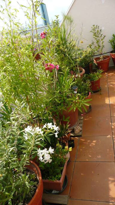 Une grande terrasse de 26 m2 au dernier étage avec plantes et fleurs et arrosage automatique. Idéal pour sieste et bronzage