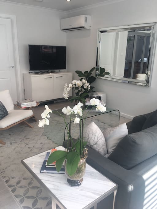 Contemporary living room with designer rug and 3 seater couch