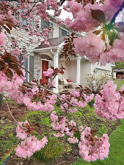 Spring 2018