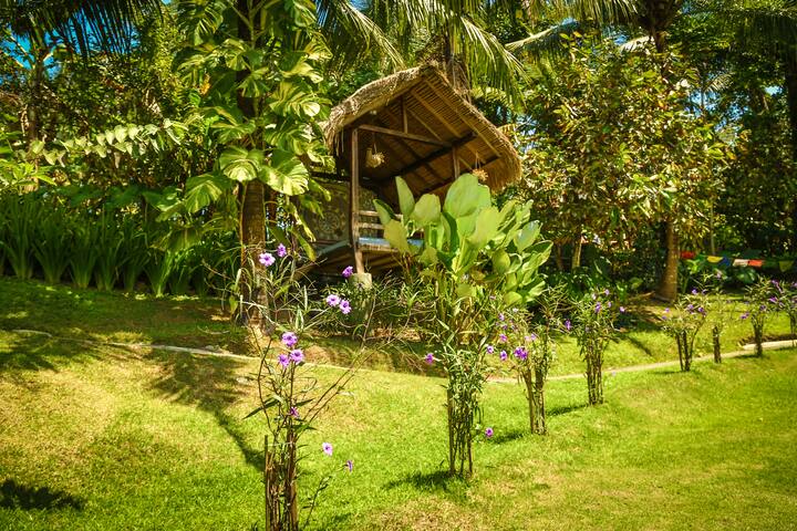 Thiết kế homestay