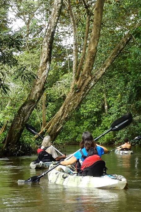 Airbnb Puerto Jiménez Vacation Rentals Places To Stay