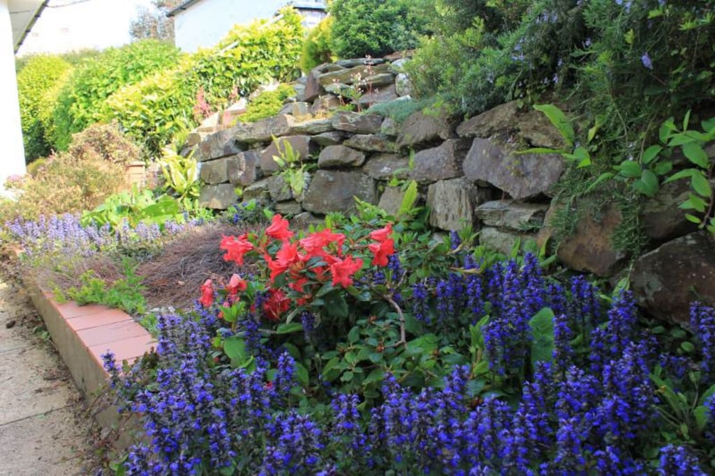 Rockery garden