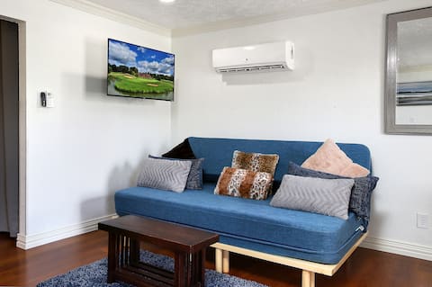 Top performing Airbnb: Live & Play in River Oaks / Heights in Houston