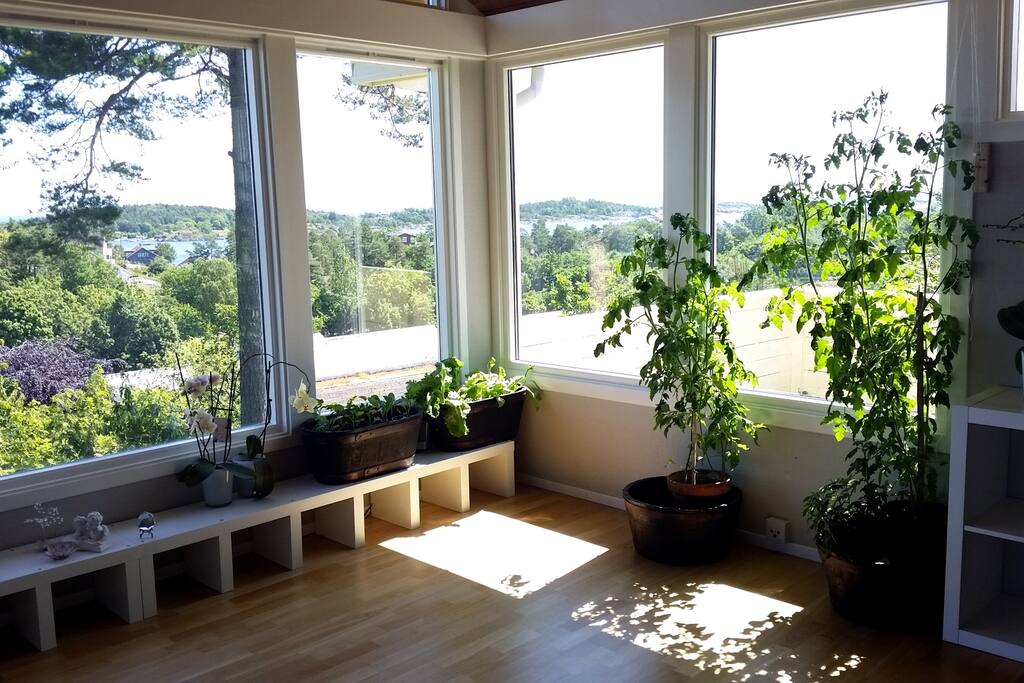 Utsikt fra stua