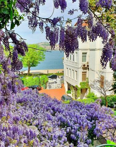 The elegance of Bosphorus gallery image 2