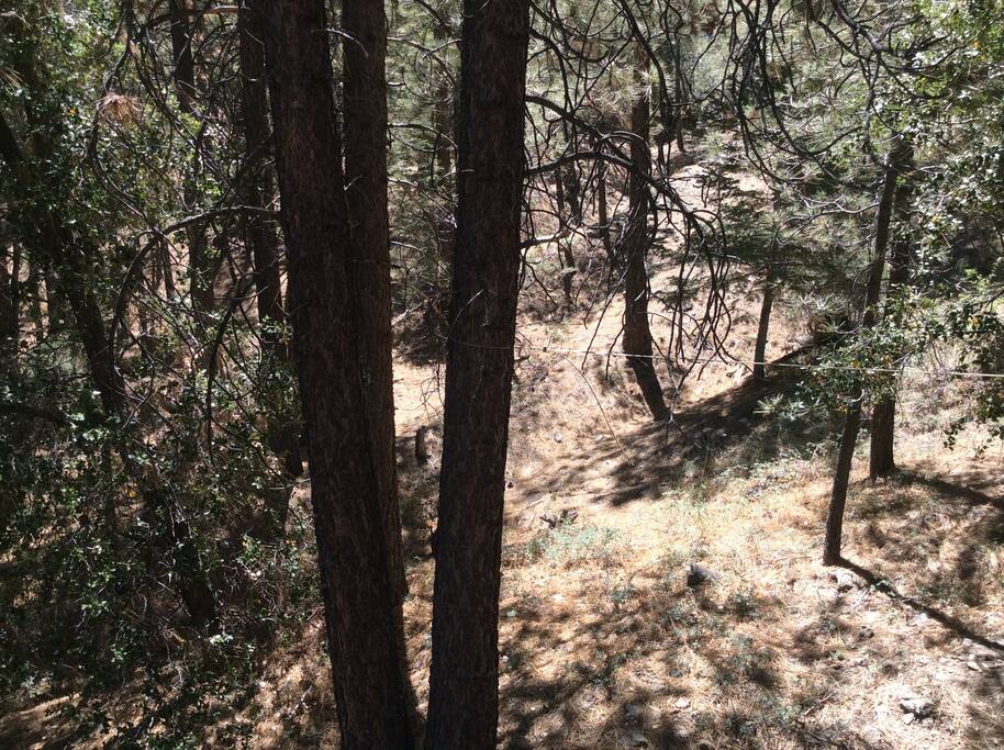 Adjacent lot included