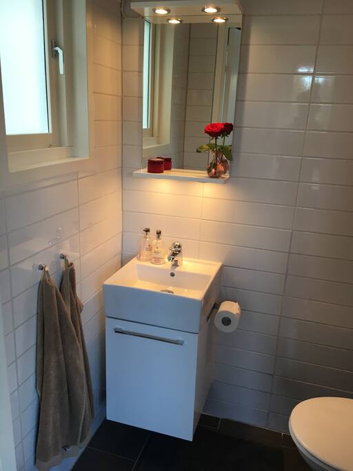 Toilet entrance level