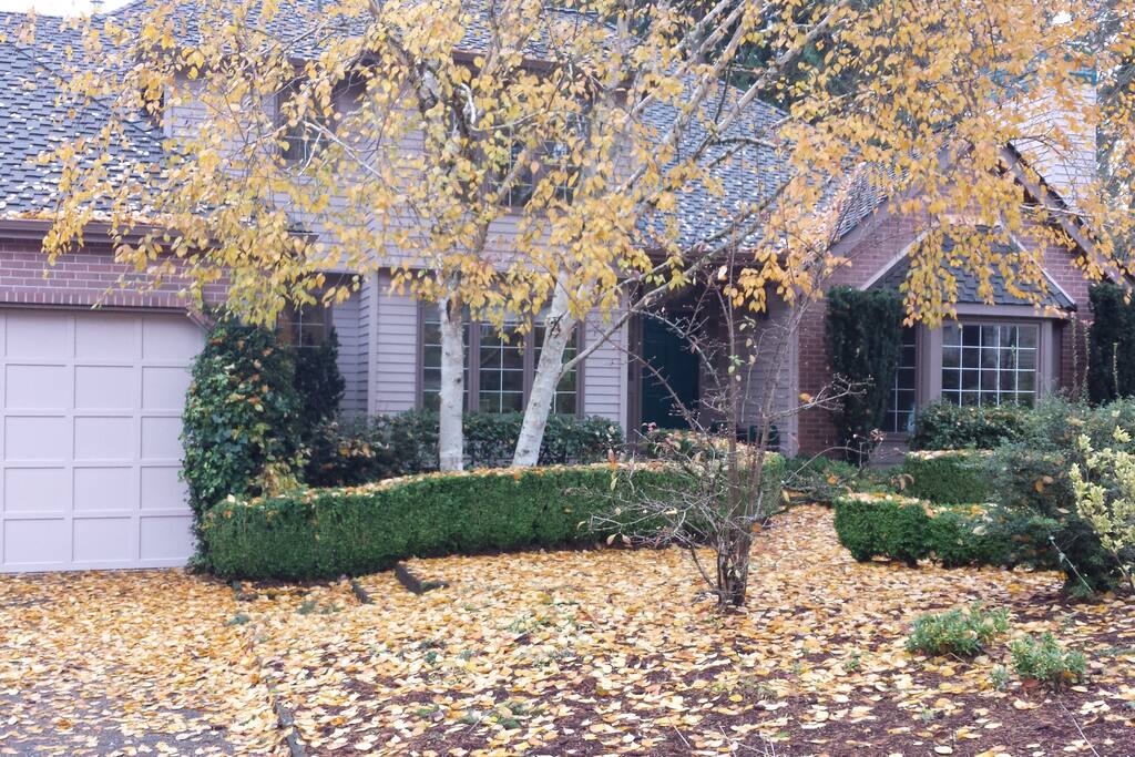 Fall colors
