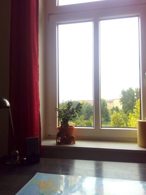 View out of one of your windows