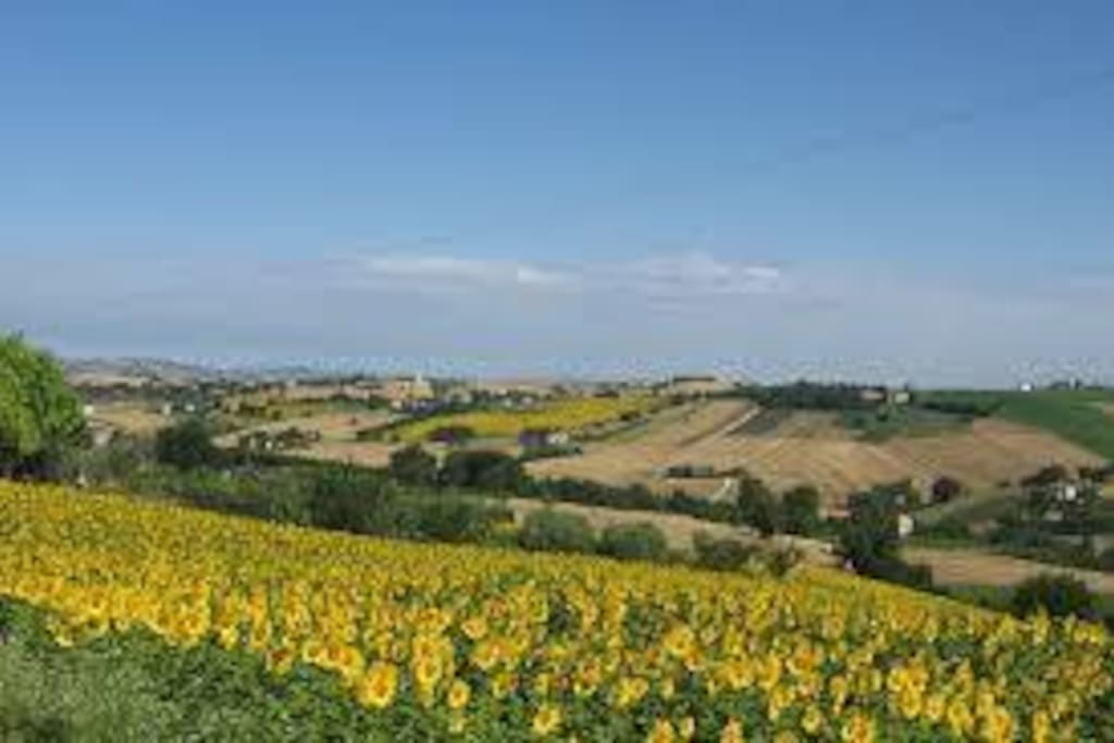 Paesaggio circostante