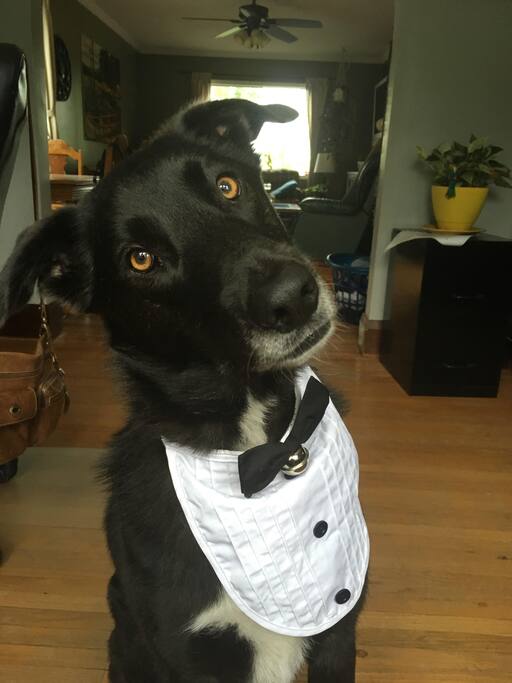 This is Eddie.