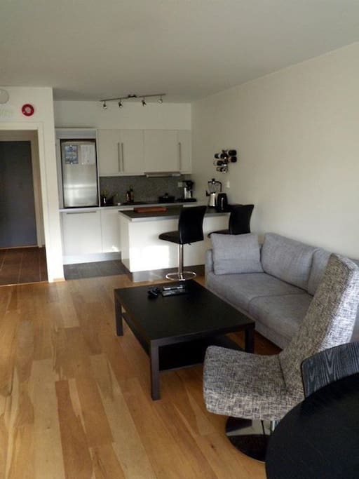 Living room + Kitchen (slightly upgraded after picture was taken)