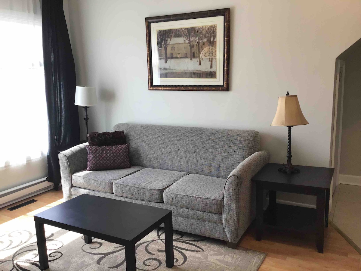 沙发可拉成一张双人床，并提供床上用品。  客厅和卧室可以用袖珍门隔开，以保护隐私。