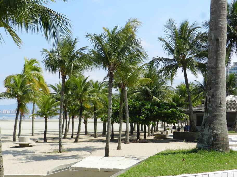 Canto do Forte