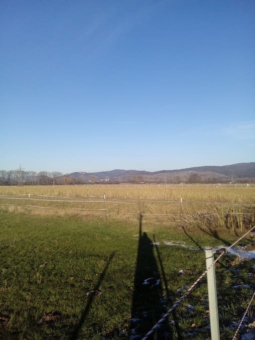 wundervoller Blick auf die Bergstraße