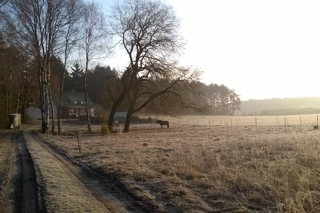 Wunderschöne, idyllische, ruhige Feld-Waldrandlage