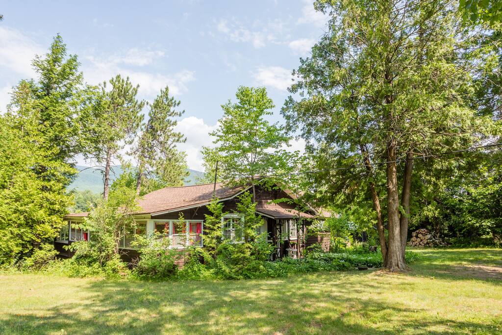 Side yard