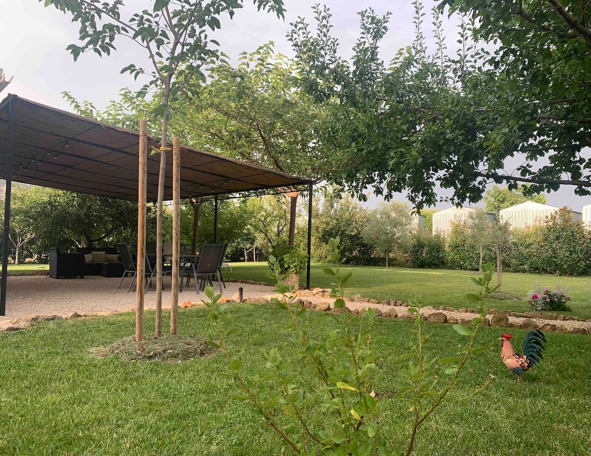 A spacious garden is presented, featuring a shaded terrace supported by metal posts. Comfortable outdoor furniture is arranged beneath the cover, surrounded by green grass and mature trees. A decorative rooster adds a charming touch to the scene, contributing to the tranquil atmosphere.