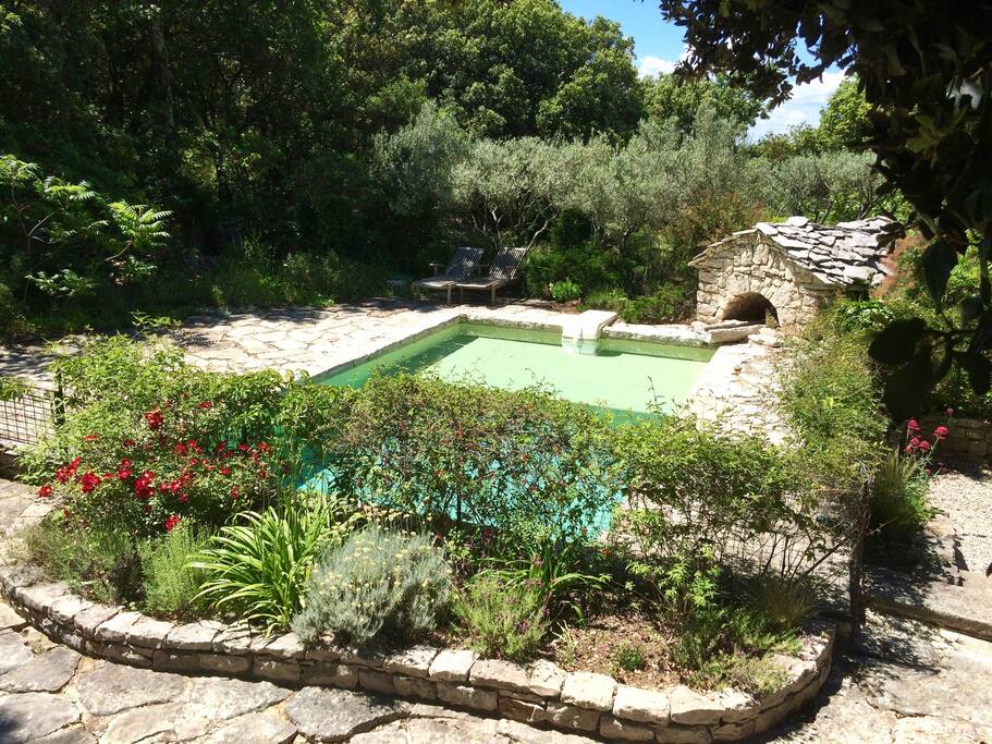Piscine émeraude dans un écrin de plantes méditerranéennes, sous le chant des cigales