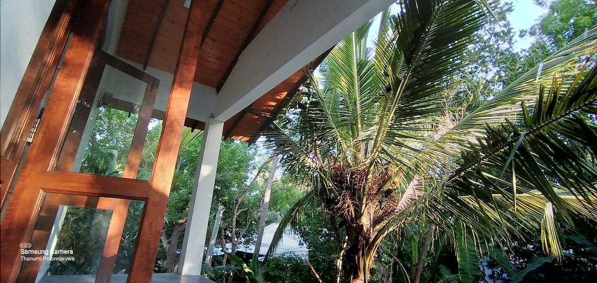 A shaded entrance area is framed by wooden beams, leading to a view of lush greenery. A tall palm tree is visible, alongside a serene garden setting. Sunlight filters through the foliage, creating a natural and inviting atmosphere.