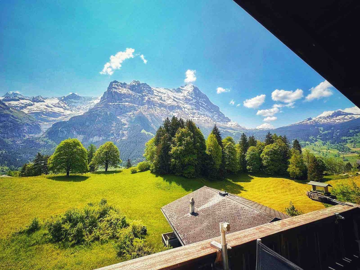 A scenic view is captured from the balcony, showcasing rolling green hills and lush trees under a clear blue sky. Majestic mountains are visible in the background, some peaks crowned with snow, creating a serene and picturesque landscape.