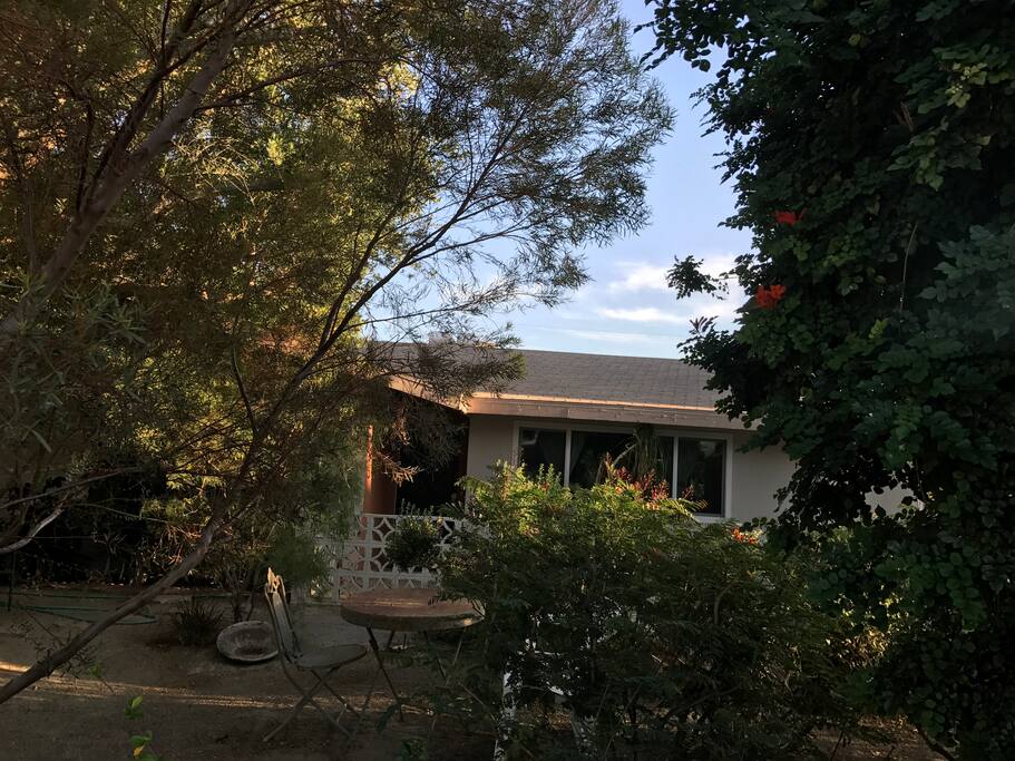 Front yard has many species of birds
year round.