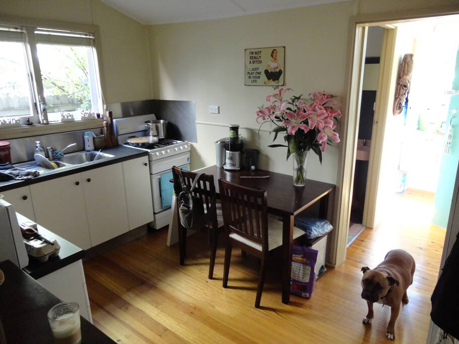 lovely kitchen for food preparation