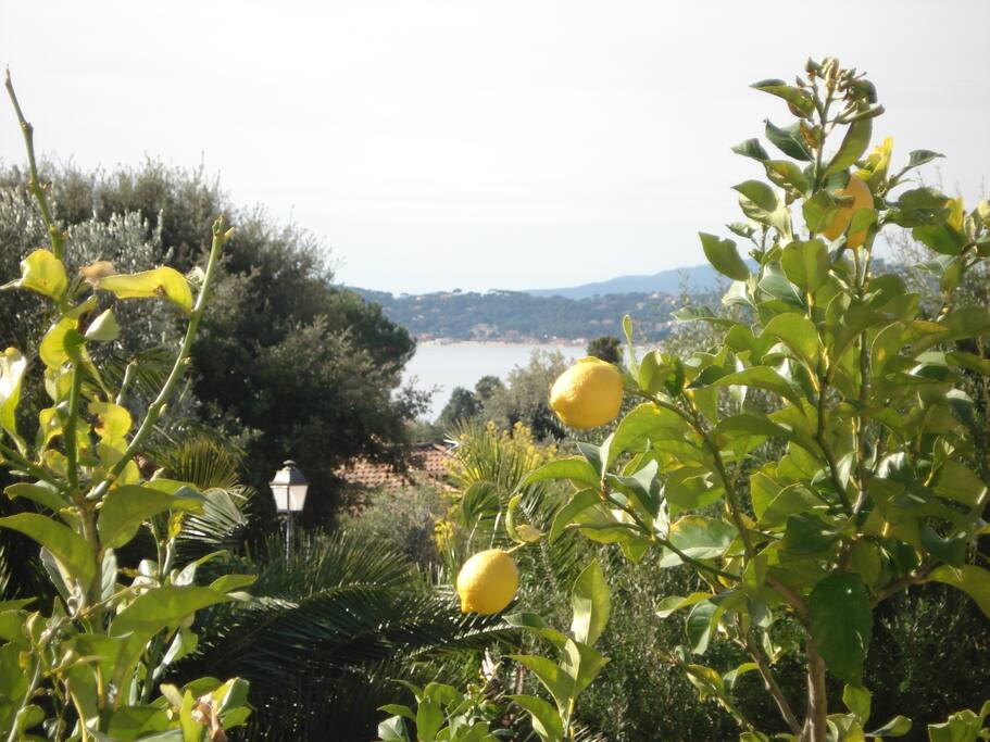 vue sur mer