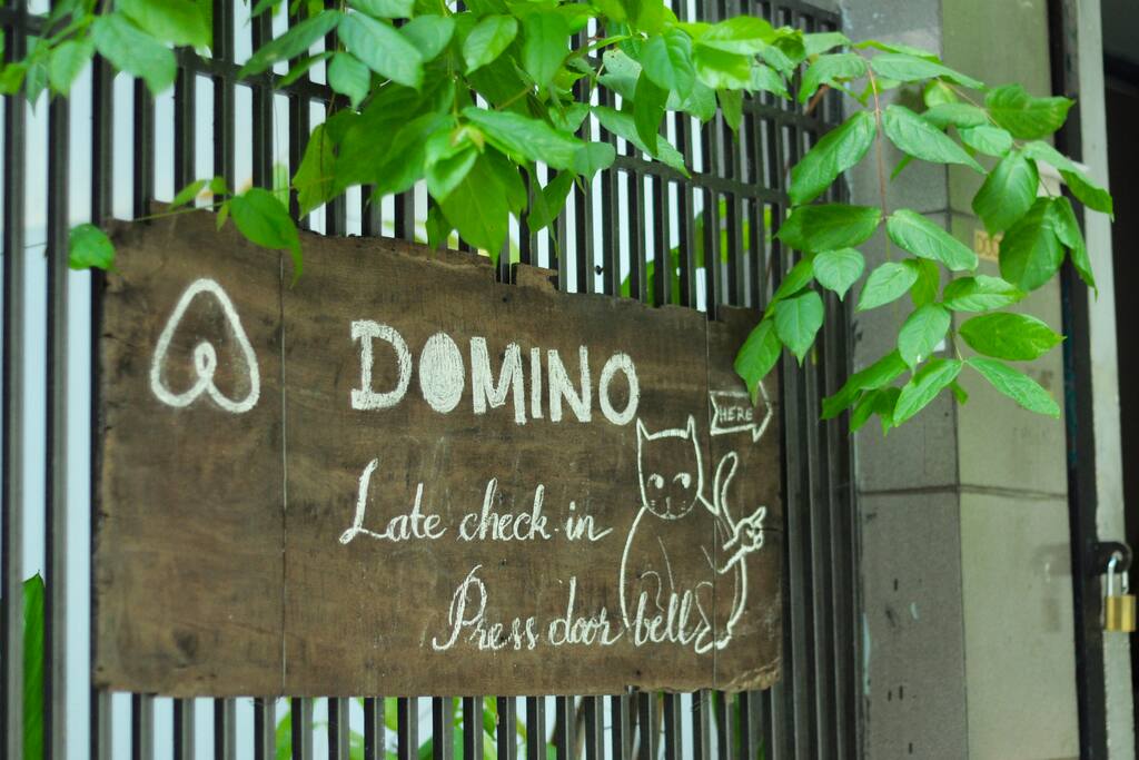 Welcome to Domino. Meow! This way... --->