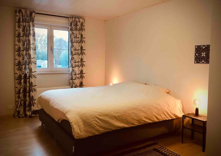 卧室1张特大号双人床 