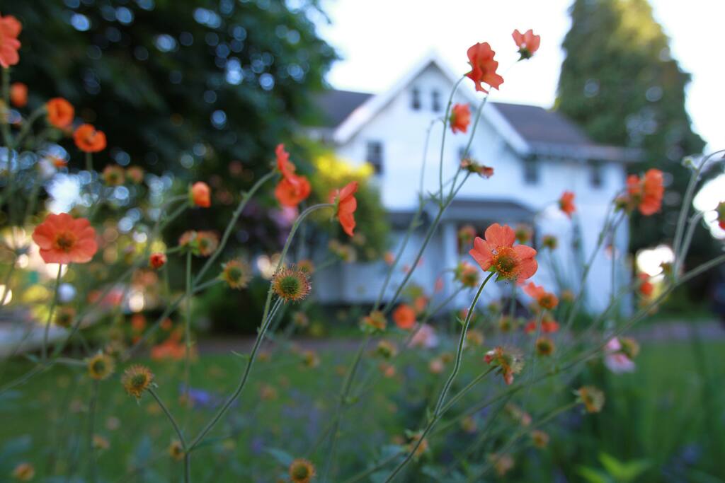 Beautiful gardens