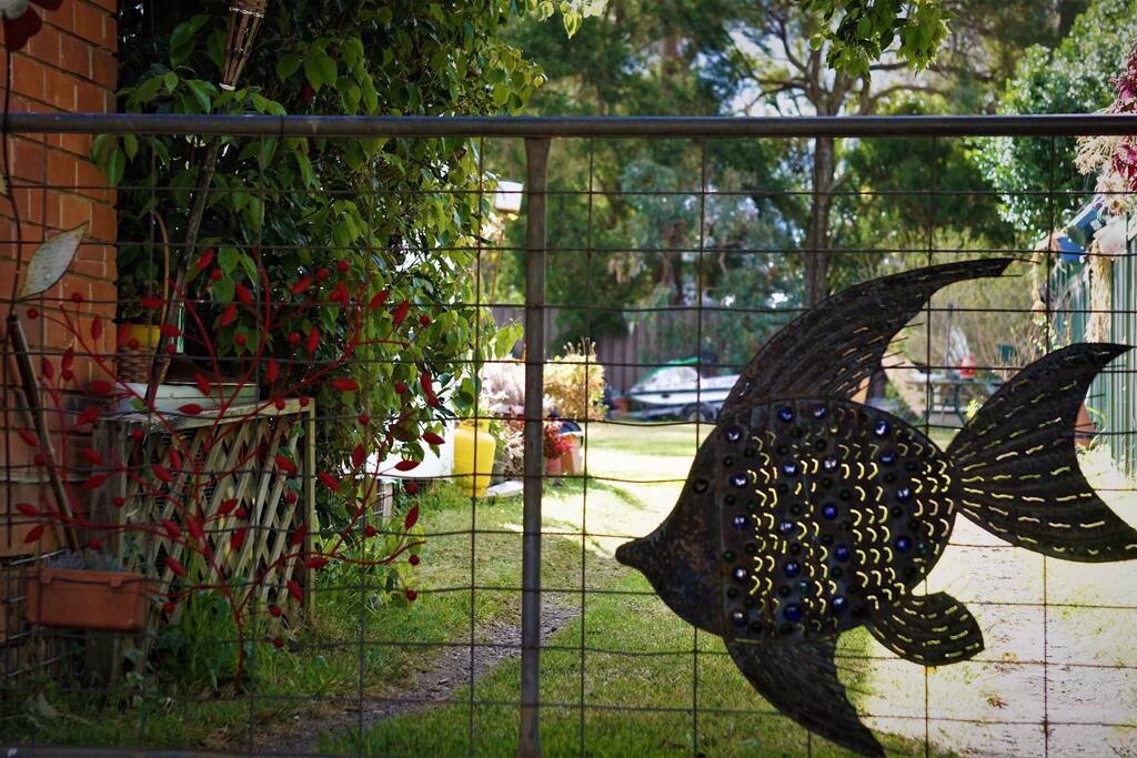Safety with fully fenced . Big backyard with Over 1000 square meters , fully fenced. relax with some fresh vegetables or fruits as bonus sometimes if you are lucky enough...