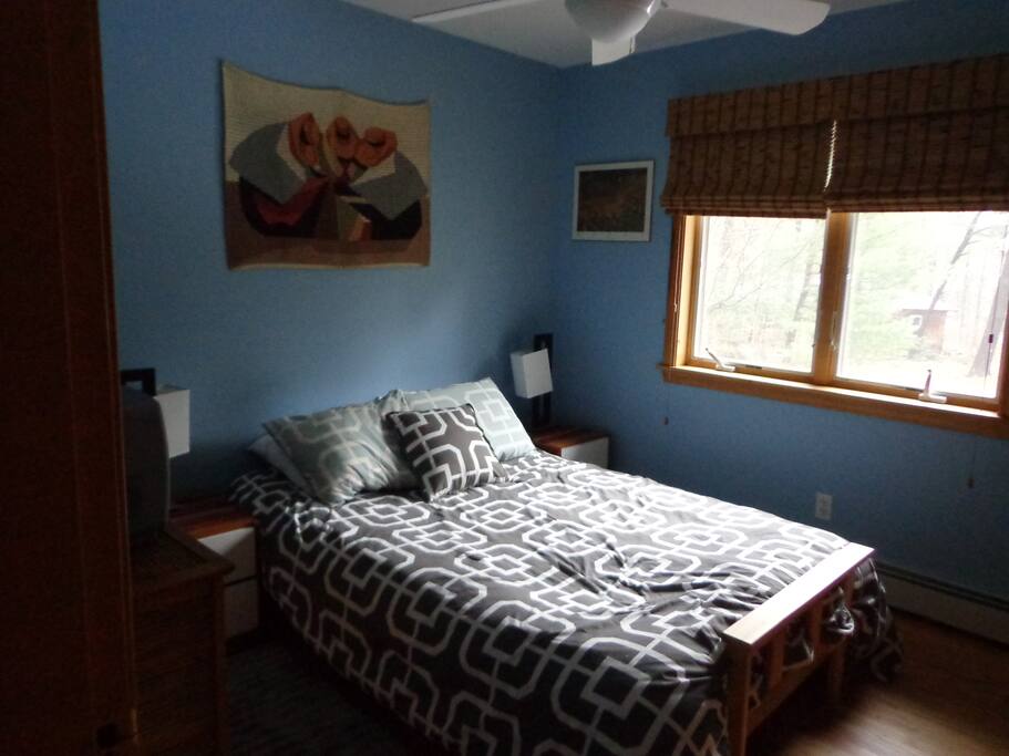 Downstairs hall bedroom