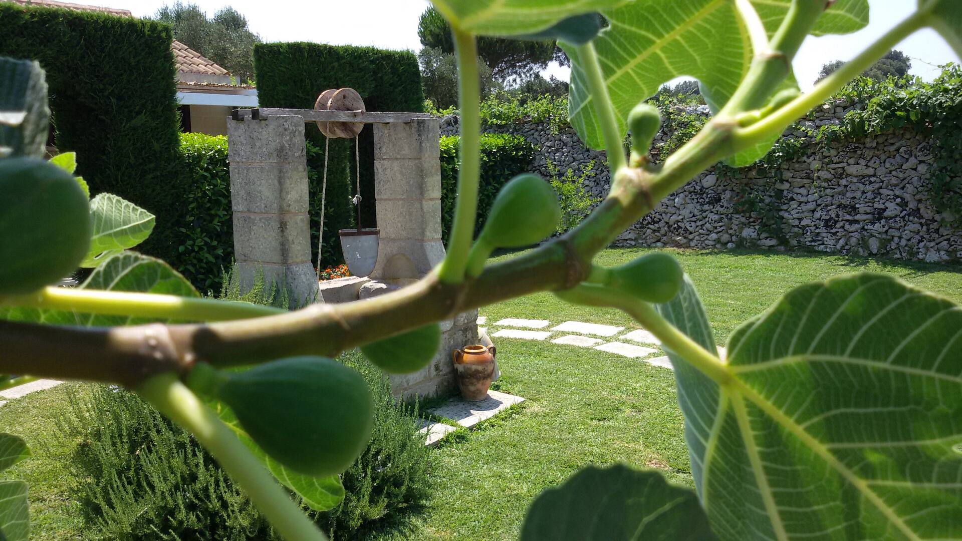 Salento Farmhouse - Corte Negroamaro — foto 4