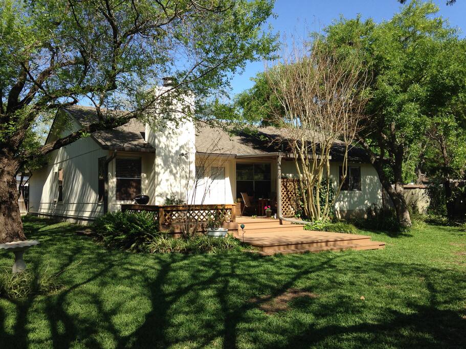 Back yard