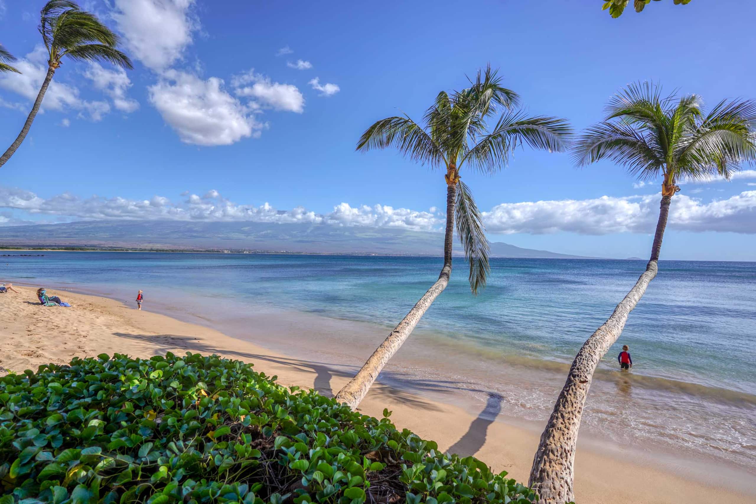 Condo in Wailuku · ★4.75 · 1 bedroom · 1 bed · 1 bath - Image 35