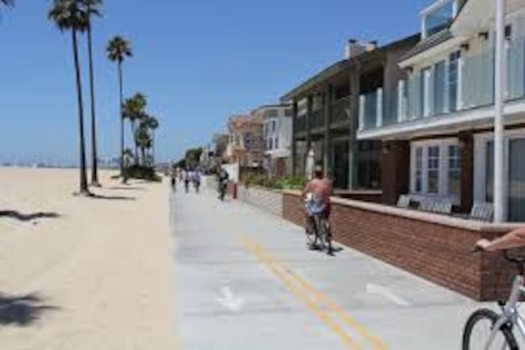 Boardwalk!