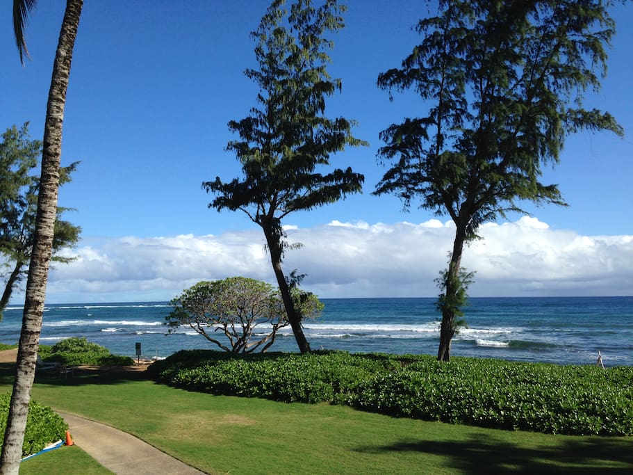 View from the lanai looking left. Have your coffee or cocktail while taking it all in!