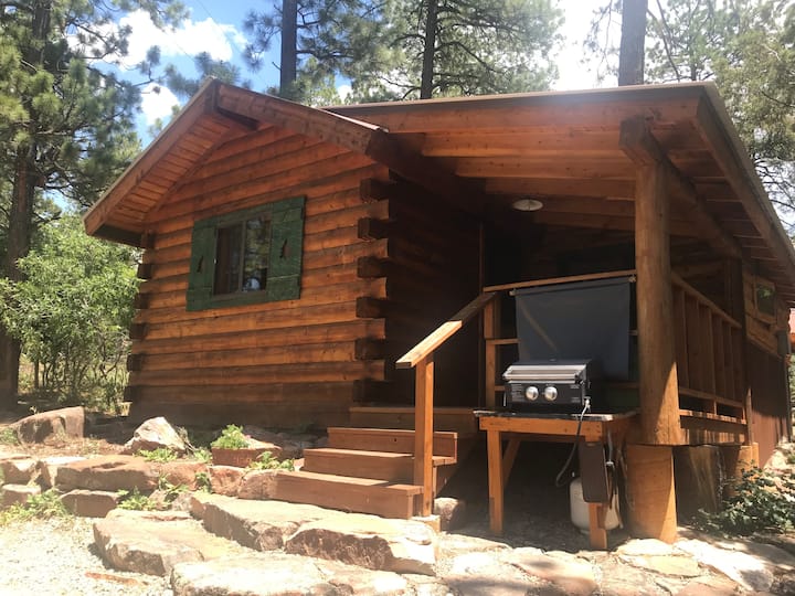 Little Mountain Cabin, Cozy & Peaceful Cabins for Rent in Mancos