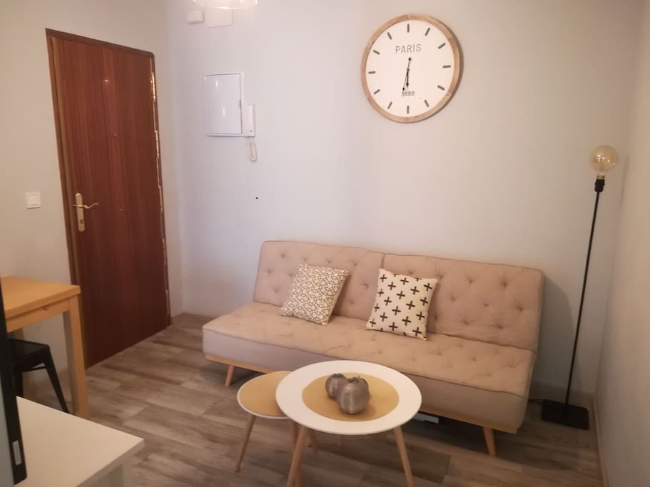 Sofa room with convertible sofa