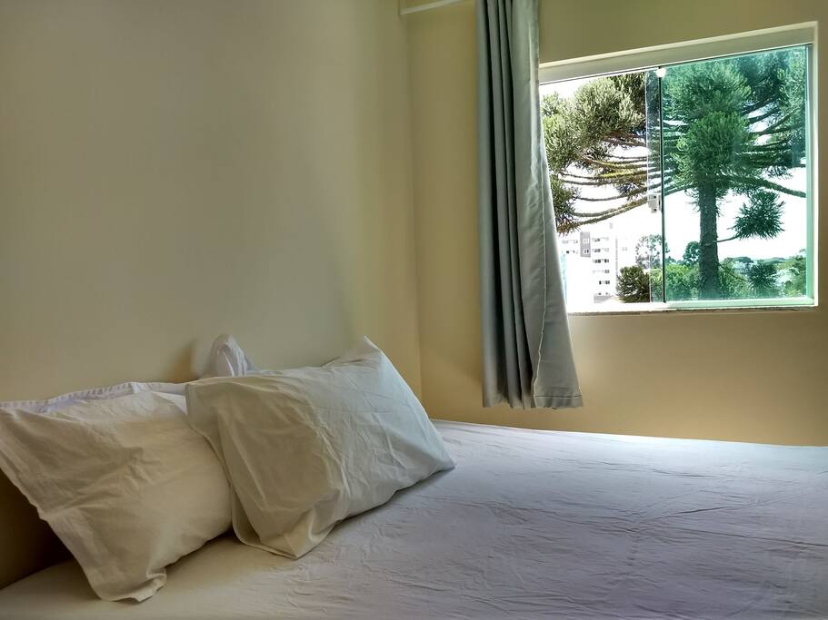 a janela do quarto de casal mais parece uma pintura com uma araucária, árvore típica da região
