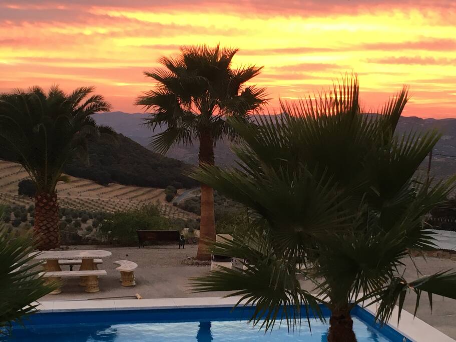 Amazing Sunsets!