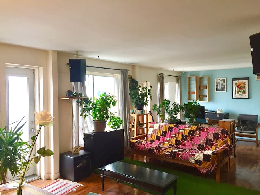 Salon avec sofa-lit