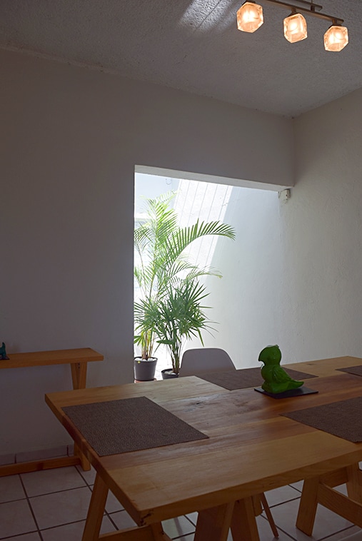A bright dining area features a wooden table set with placemats and a decorative green piece at the center. Sunlight filters through a window, illuminating the space and highlighting a potted plant in the corner, contributing to a fresh and open ambiance.