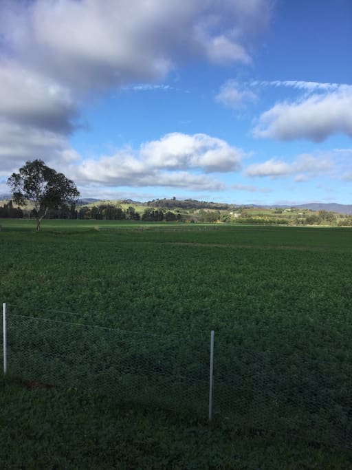 Enjoy the quiet rural setting