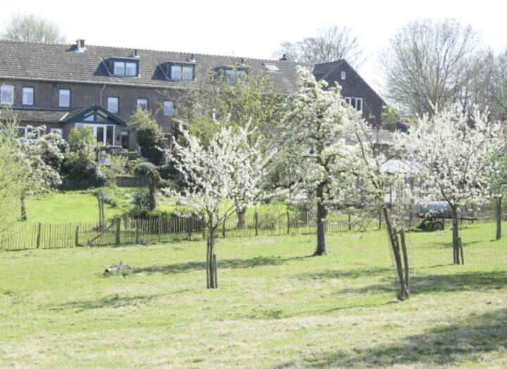 Hoeve Schevey Luxury vacation home in Z-Limburg