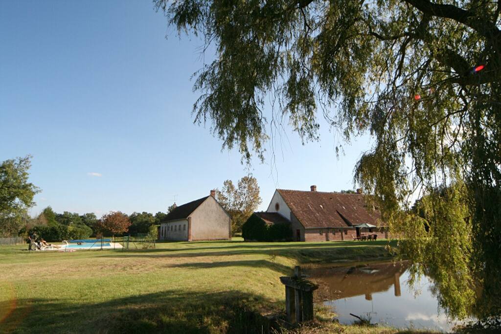 The back of the house with the pool and a small pond.