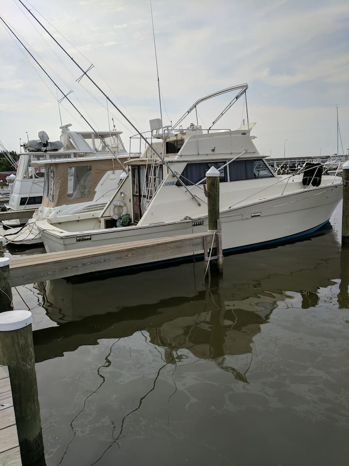 Knox Landing Boats for Rent in Cambridge, Maryland, United States
