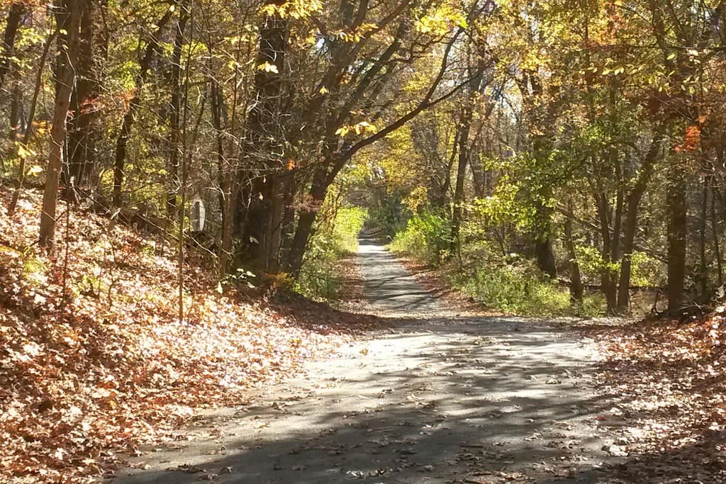 Scenic road.