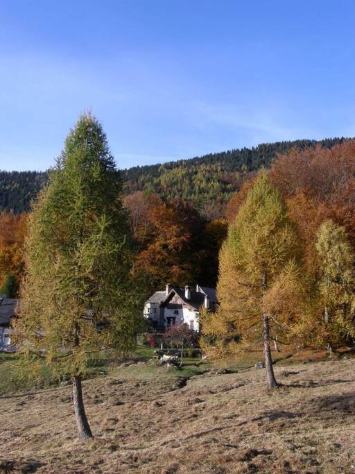 Autunno